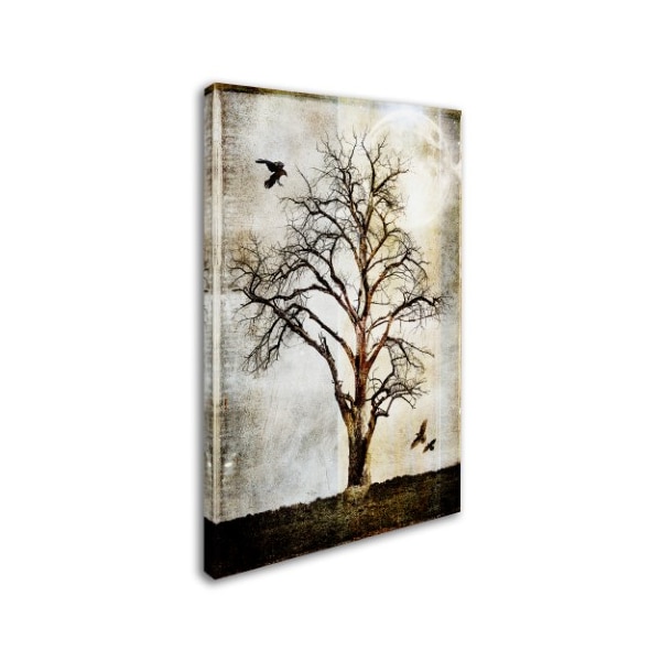 LightBoxJournal 'Cottonwood Tree Part 02' Canvas Art,16x24